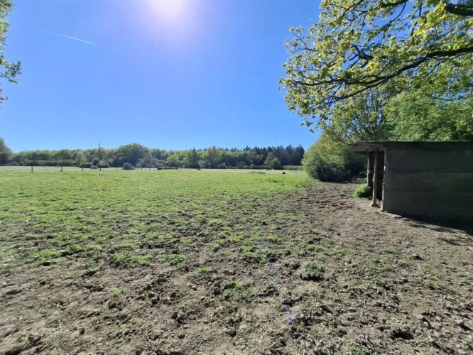 Photos 20 - Équestre - ? Domaine équestre de prestige avec étang privé - 10 hec