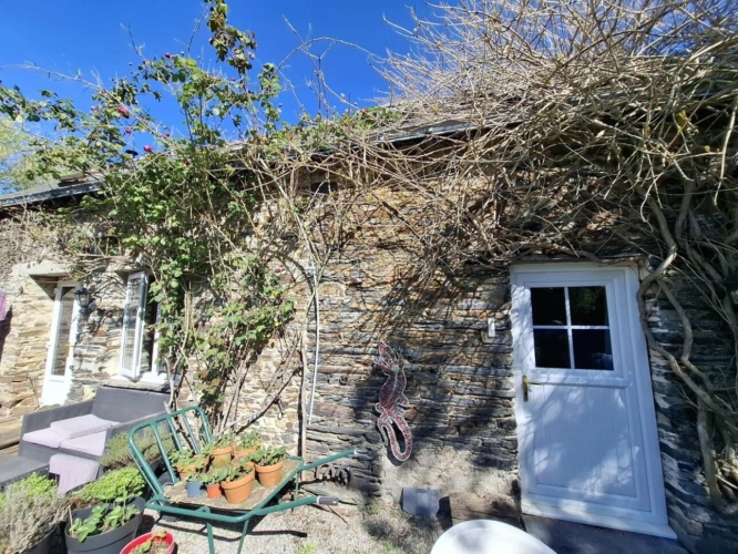 Photos 24 - Équestre - ? Domaine équestre de prestige avec étang privé - 10 hec