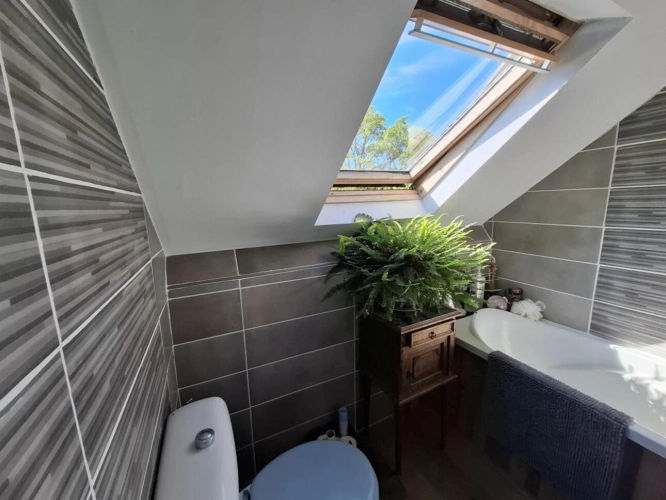 Photos 25 - Équestre - ? Domaine équestre de prestige avec étang privé - 10 hec