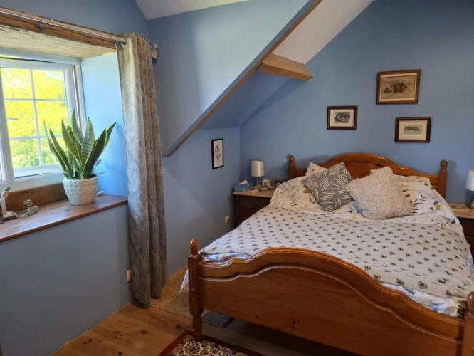 Photos 26 - Équestre - ? Domaine équestre de prestige avec étang privé - 10 hec