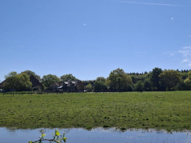 Photos 28 - Équestre - ? Domaine équestre de prestige avec étang privé - 10 hec