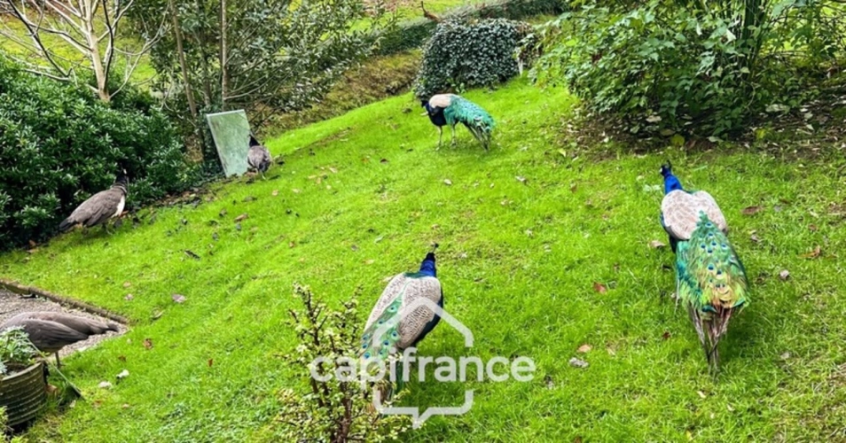 Photos 16 - Prestige - Dpt Morbihan (56), à vendre ROHAN propriete P17 de 338 m² - Terrain de 31 655 m²