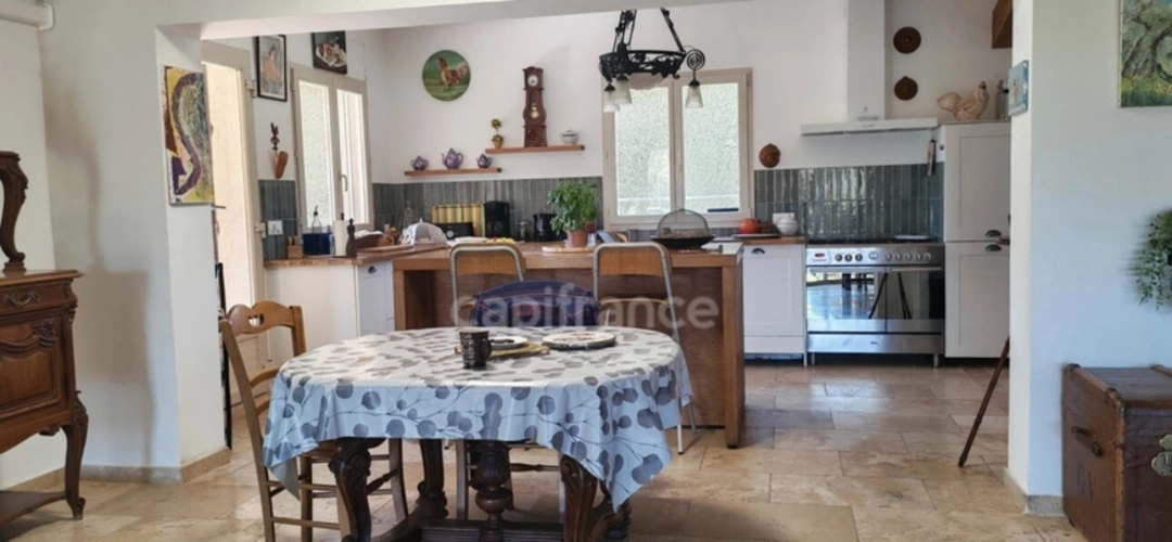 Photos 11 - Touristique - Propriete à vendre 2 habitations, quartier PONT DE CRAU, ARLES (13)