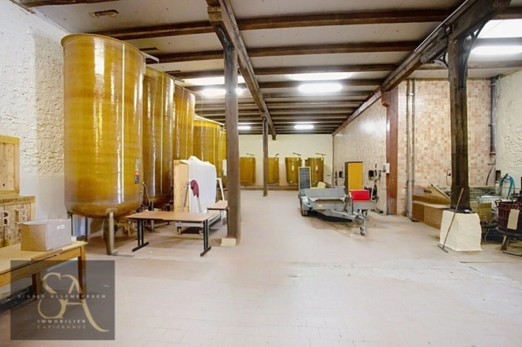 Photos 4 - Agricole - Bâtiment viticole , terres et matériel d’exploitation – 48 ha Proche Narbonne