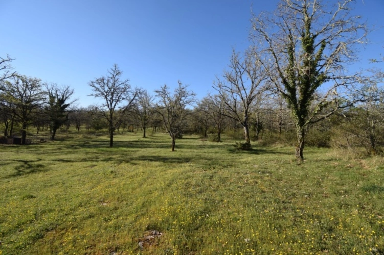 Photos 44 - Prestige - Propriete à vendre 8 pièces CREGOLS (46)