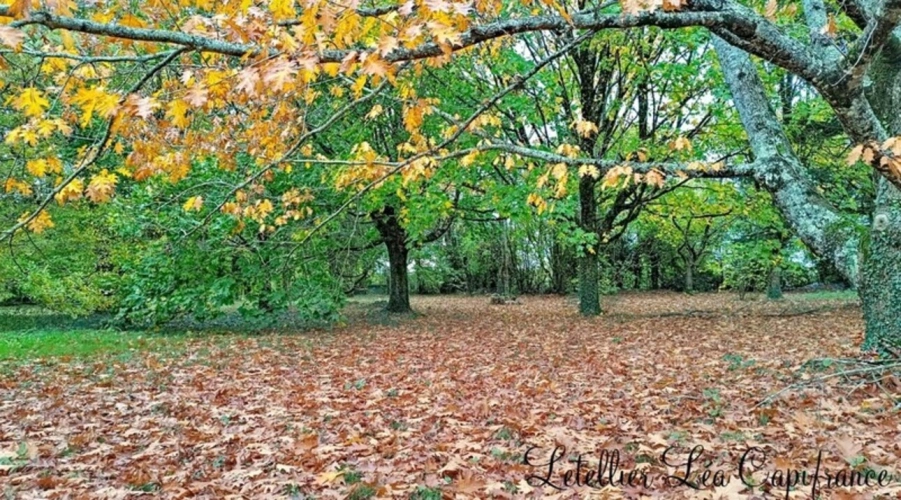 Photos 16 - Prestige - Propriété à vendre 5 pièces - PRAILLES (79)