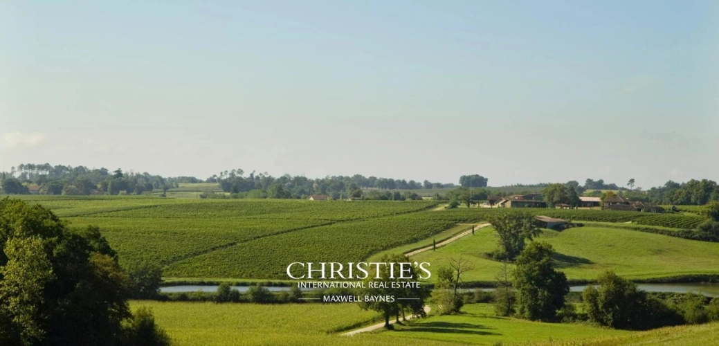 Photos 1 - Viticole - Domaine viticole & maison d’Armagnac – Propriété d’exception au cœur du Gers