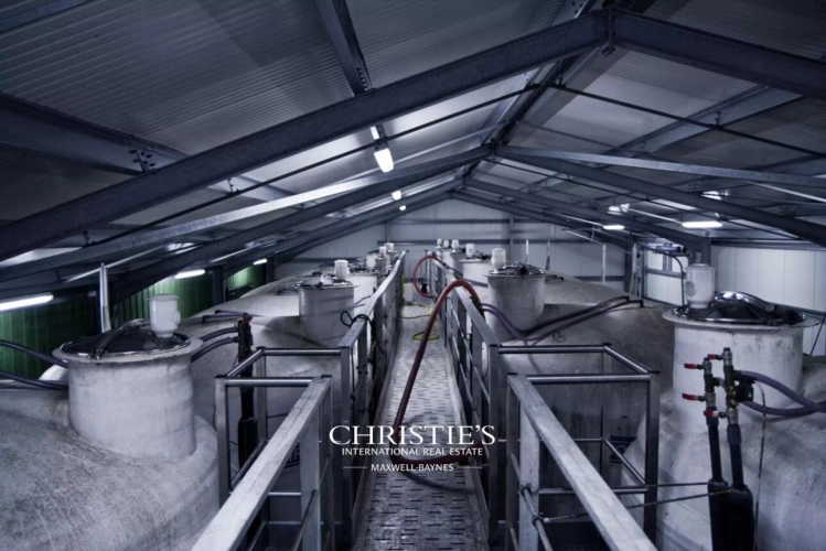 Photos 7 - Viticole - Domaine viticole & maison d’Armagnac – Propriété d’exception au cœur du Gers