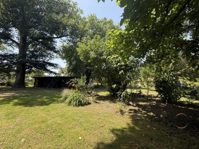 Photos 24 - Équestre - Ensemble de 2 habitations sur 1ha à 5mn de Bazas