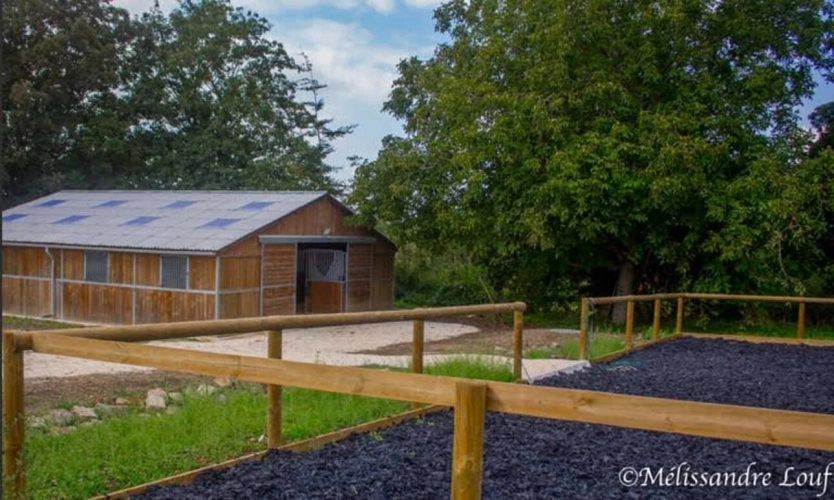 Photos 2 - Équestre - Ecurie et terrain constructible