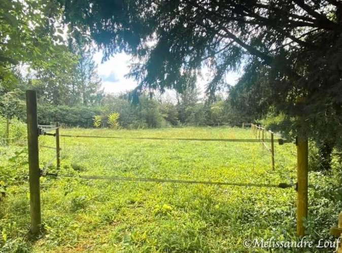 Photos 4 - Équestre - Ecurie et terrain constructible