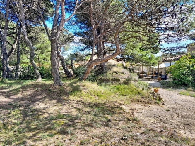 Photos 2 - Rurale - Villa