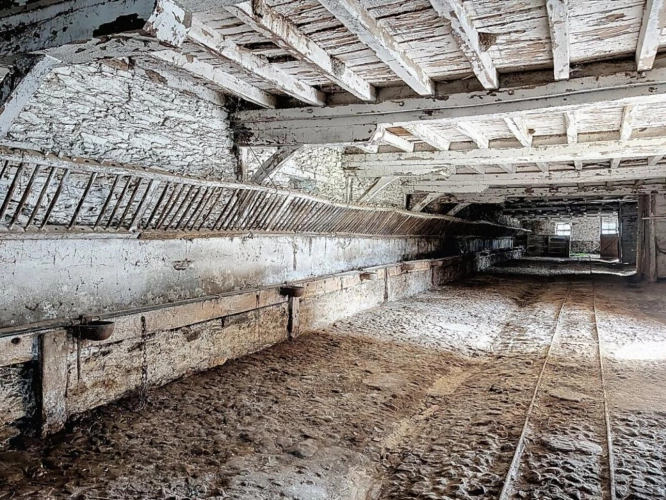 Photos 5 - Rurale - Propriété agricole