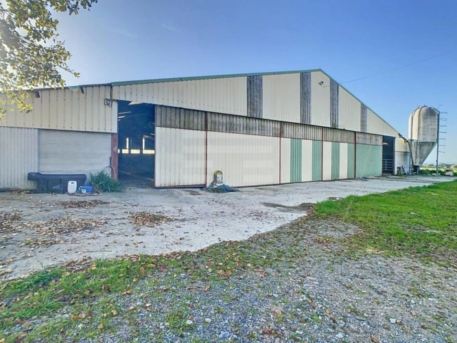 Photos 4 - Agricultural - Farming property