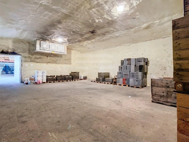 Photos 13 - Agricole - Agriculture - Viticulture