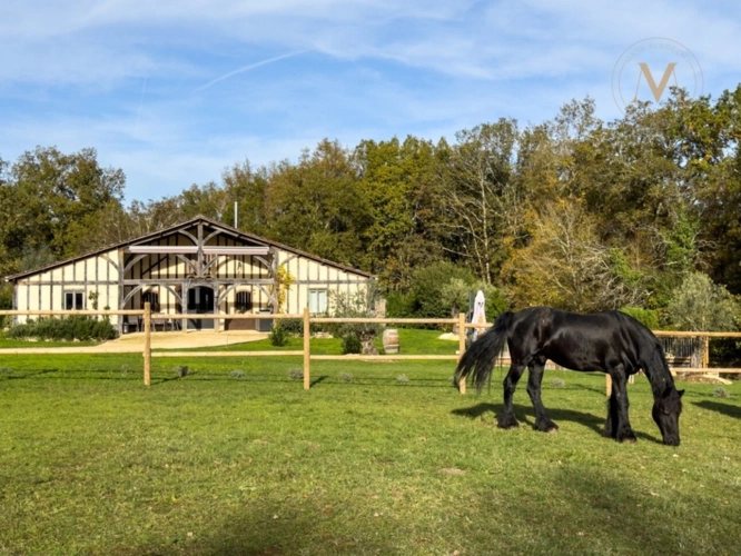 Photos 4 - Équestre - Propriété équestre d’exception implantée sur 21 hectares d’un seul tenant, à proximité de THEZAC (47)