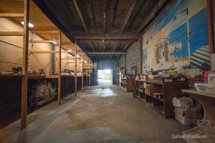 Photos 19 - Rurale - Exceptionnel au coeur de Saumur et des bords de loire une demeure de 375 m² - dépendances - Garages - jardin -1439m²