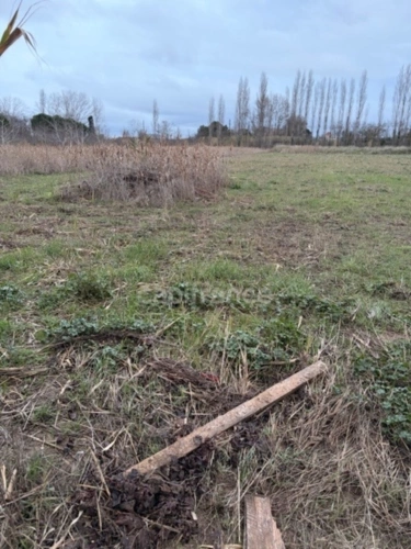 Photos 2 - Agricole - RARE!!! Narbonne,TERRAIN AGRICOLE CONSTRUCTIBLE