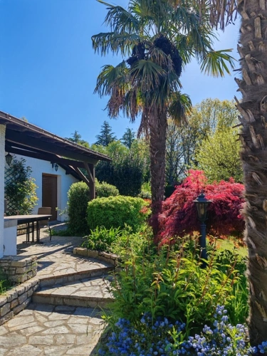 Photos 3 - Rurale - Propriete à vendre 12 pièces L'OIE (85)
