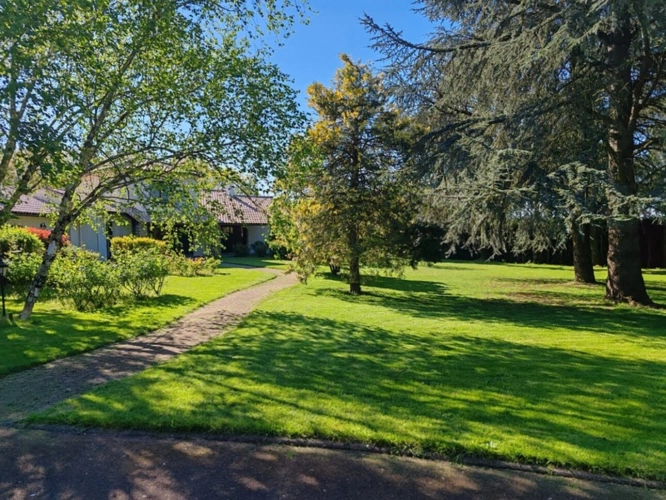 Photos 34 - Rurale - Propriete à vendre 12 pièces L'OIE (85)
