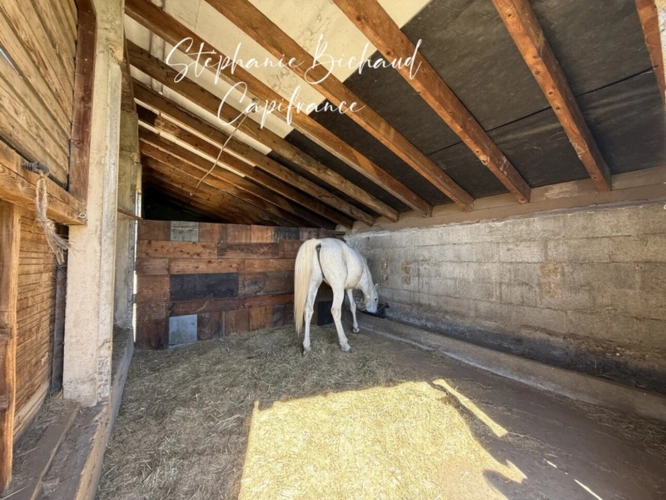 Photos 25 - Prestige - Propriete à vendre 9 pièces JARJAYES (05) dépendances zone touristique 1,8 hectare