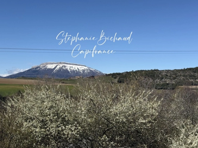 Photos 54 - Prestige - Propriete à vendre 9 pièces JARJAYES (05) dépendances zone touristique 1,8 hectare