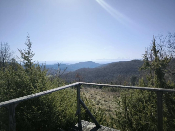 Photos 3 - Prestige - Propriété