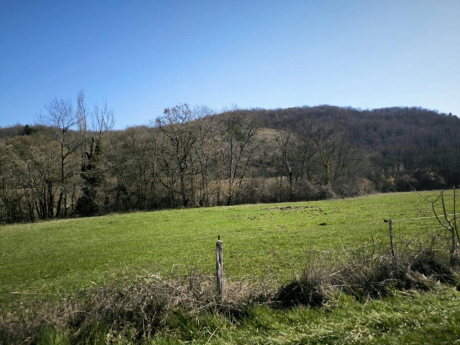 Photos 14 - Prestige - Propriété