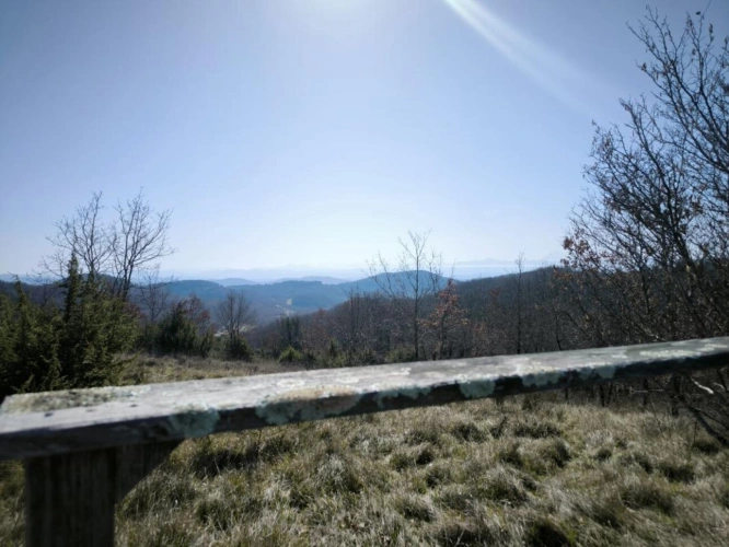 Photos 15 - Prestige - Propriété