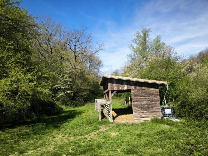 Photos 20 - Prestige - Propriété