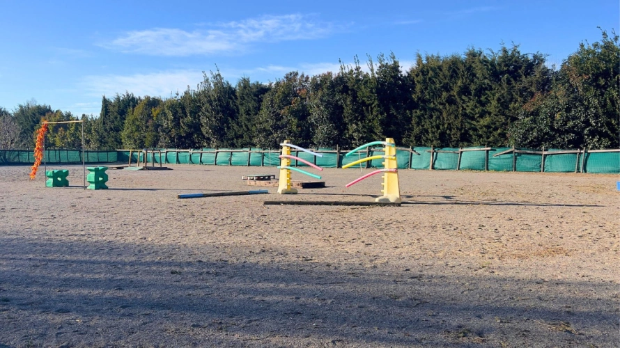 Photos 13 - Équestre - Alpilles : mas provençal authentique avec installations équestres sur 5,5 hectares (13)