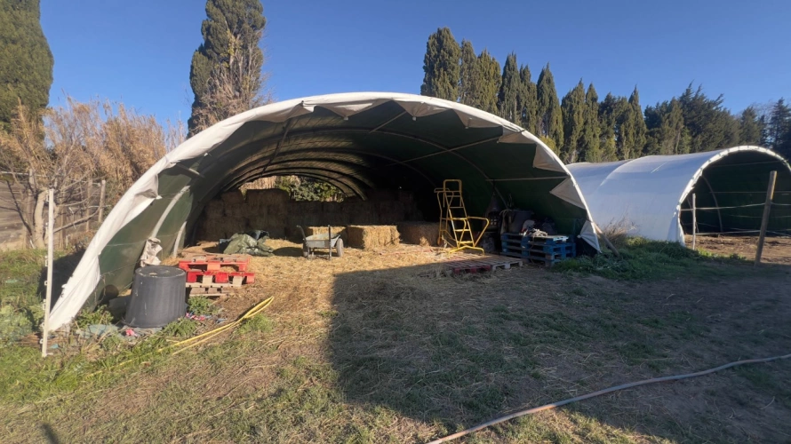 Photos 14 - Équestre - Alpilles : mas provençal authentique avec installations équestres sur 5,5 hectares (13)