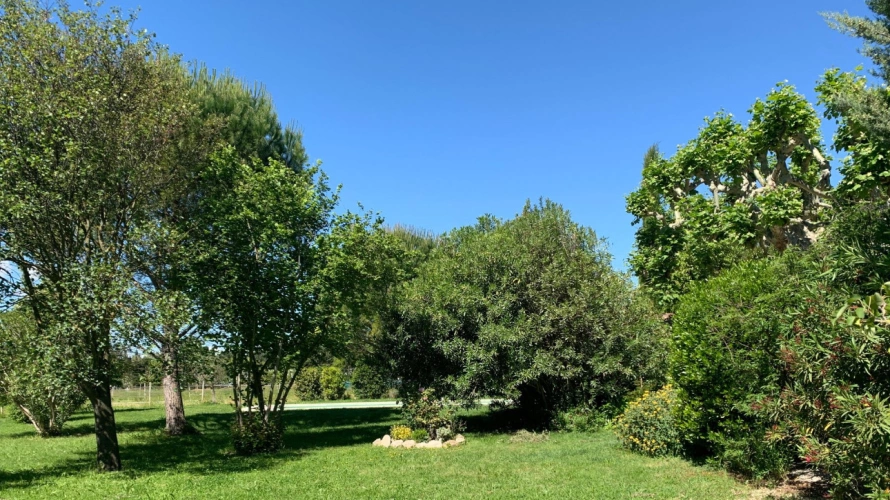 Photos 15 - Équestre - Alpilles : mas provençal authentique avec installations équestres sur 5,5 hectares (13)