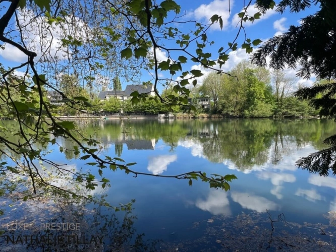 Photos 3 - Prestige - OLIVET bord du Loiret, maison de Maître à vendre 418 m² habitables , parc arboré et paysagé de 4337 M²