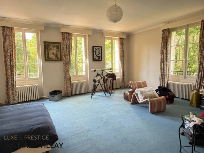 Photos 15 - Prestige - OLIVET bord du Loiret, maison de Maître à vendre 418 m² habitables , parc arboré et paysagé de 4337 M²