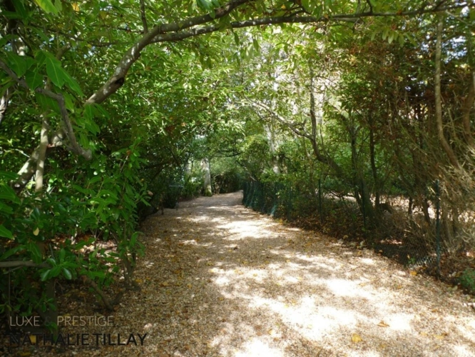 Photos 18 - Prestige - OLIVET bord du Loiret, maison de Maître à vendre 418 m² habitables , parc arboré et paysagé de 4337 M²