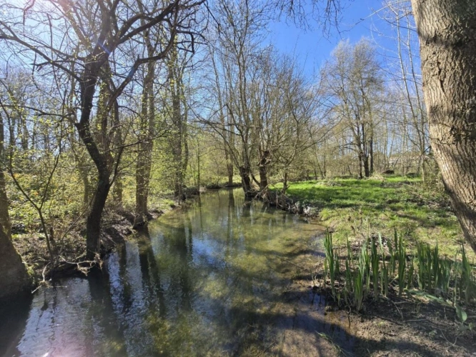 Photos 6 - Rurale - Maison de caractère