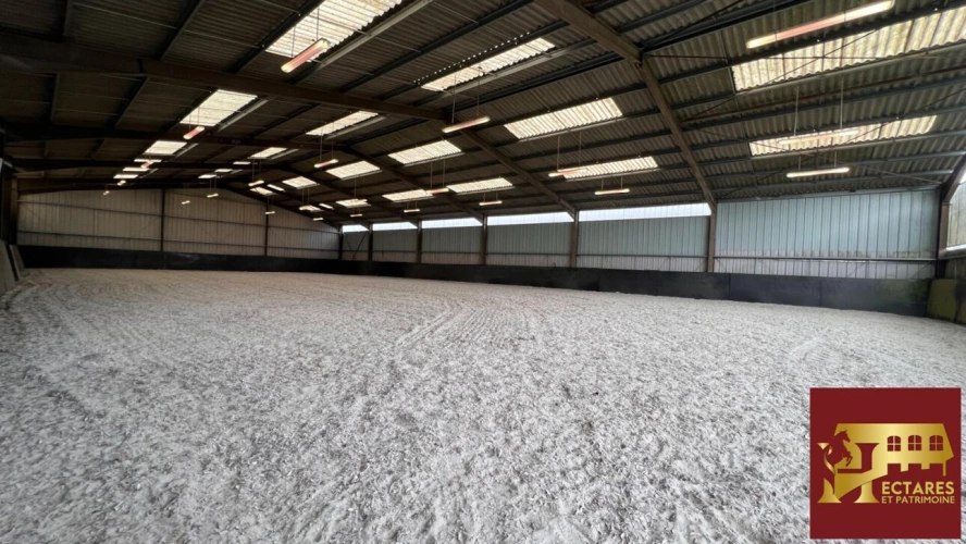 Photos 1 - Équestre - Propriété équestre