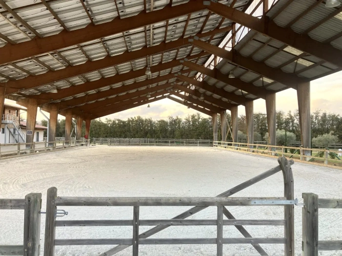 Photos 2 - Équestre - Ecurie haut de gamme
