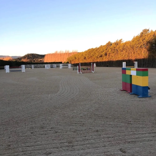 Photos 3 - Équestre - Ecurie haut de gamme