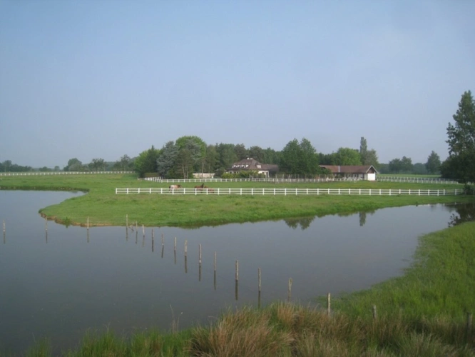 Photos 19 - Prestige - Propriete à vendre sur 35 hectares, 14 pièces piscine, tennis, chasse, pêche, équitation, LE PLANTAY (01)