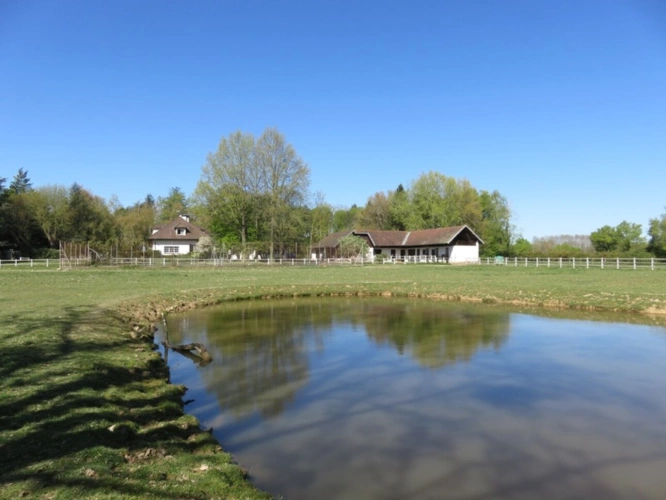 Photos 23 - Prestige - Propriete à vendre sur 35 hectares, 14 pièces piscine, tennis, chasse, pêche, équitation, LE PLANTAY (01)