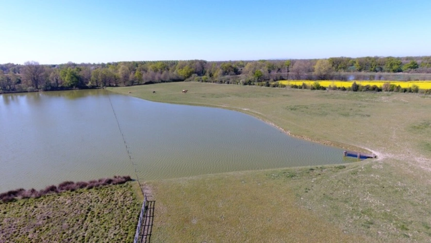 Photos 29 - Prestige - Propriete à vendre sur 35 hectares, 14 pièces piscine, tennis, chasse, pêche, équitation, LE PLANTAY (01)