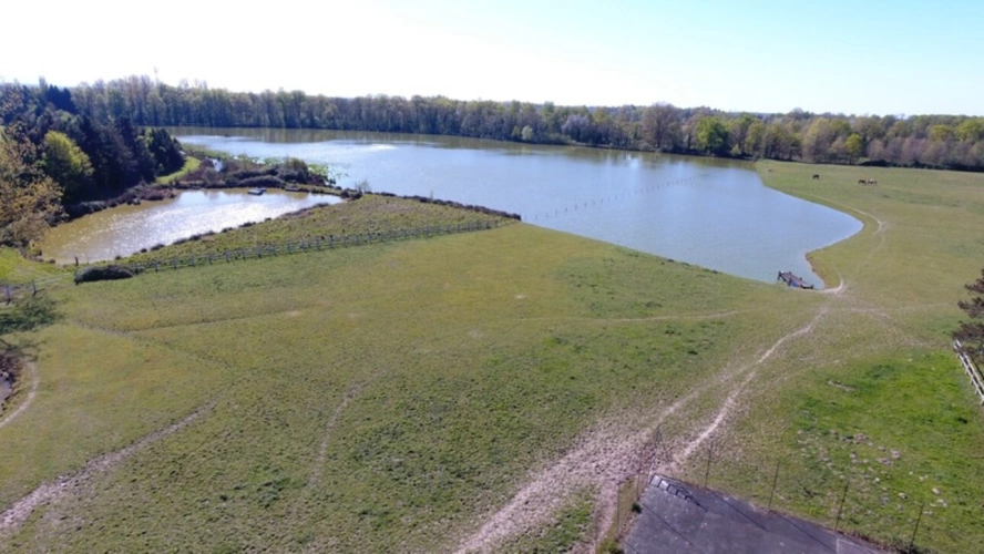 Photos 33 - Prestige - Propriete à vendre sur 35 hectares, 14 pièces piscine, tennis, chasse, pêche, équitation, LE PLANTAY (01)