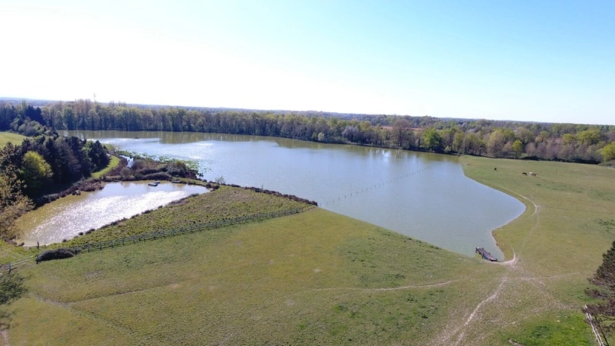 Photos 34 - Prestige - Propriete à vendre sur 35 hectares, 14 pièces piscine, tennis, chasse, pêche, équitation, LE PLANTAY (01)