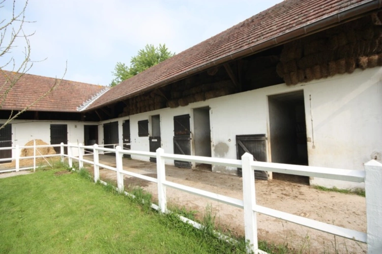 Photos 39 - Prestige - Propriete à vendre sur 35 hectares, 14 pièces piscine, tennis, chasse, pêche, équitation, LE PLANTAY (01)