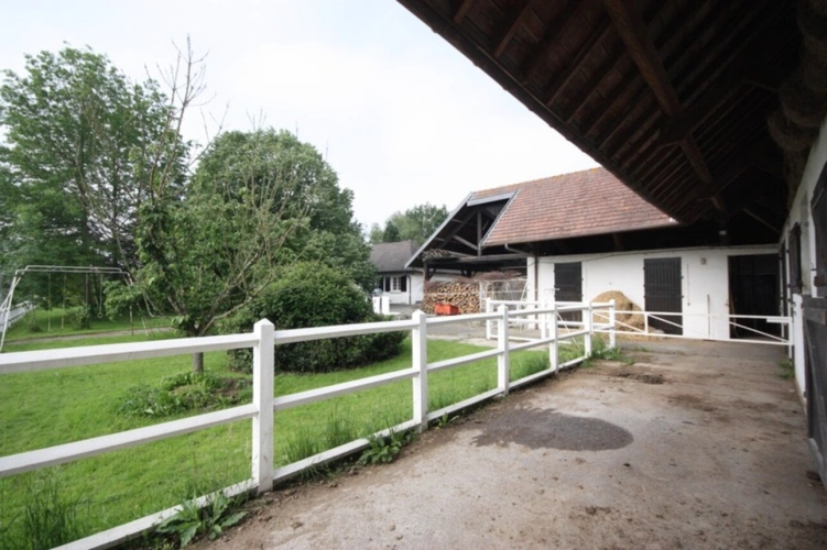 Photos 40 - Prestige - Propriete à vendre sur 35 hectares, 14 pièces piscine, tennis, chasse, pêche, équitation, LE PLANTAY (01)