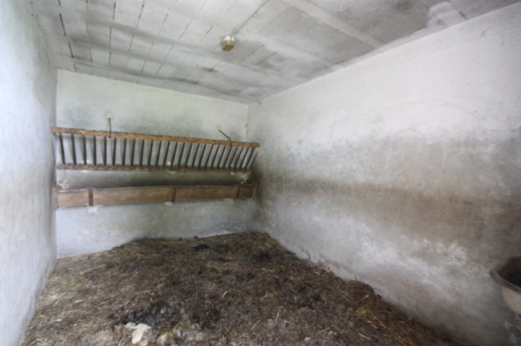 Photos 41 - Prestige - Propriete à vendre sur 35 hectares, 14 pièces piscine, tennis, chasse, pêche, équitation, LE PLANTAY (01)