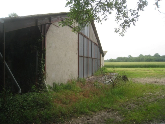 Photos 45 - Prestige - Propriete à vendre sur 35 hectares, 14 pièces piscine, tennis, chasse, pêche, équitation, LE PLANTAY (01)