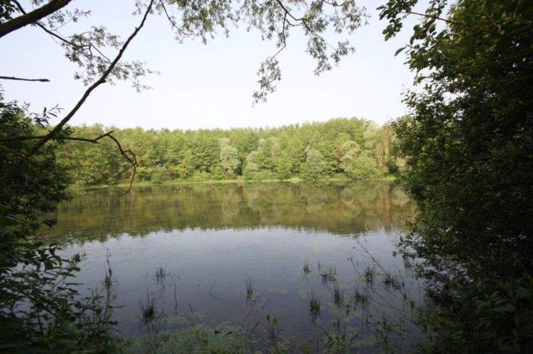 Photos 48 - Prestige - Propriete à vendre sur 35 hectares, 14 pièces piscine, tennis, chasse, pêche, équitation, LE PLANTAY (01)